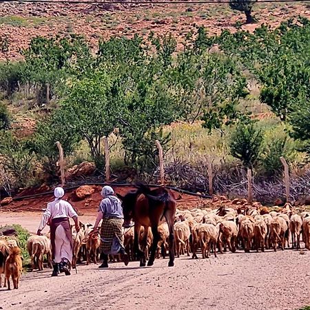 Ferme D"Hote Lala Fatima Ain Leuh Dış mekan fotoğraf